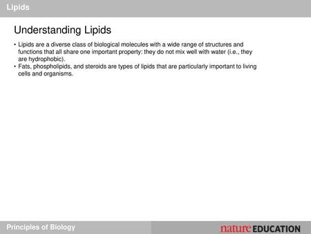 Understanding Lipids Lipids Principles of Biology