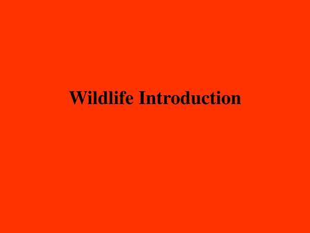 Wildlife Introduction