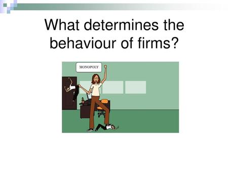 What determines the behaviour of firms?