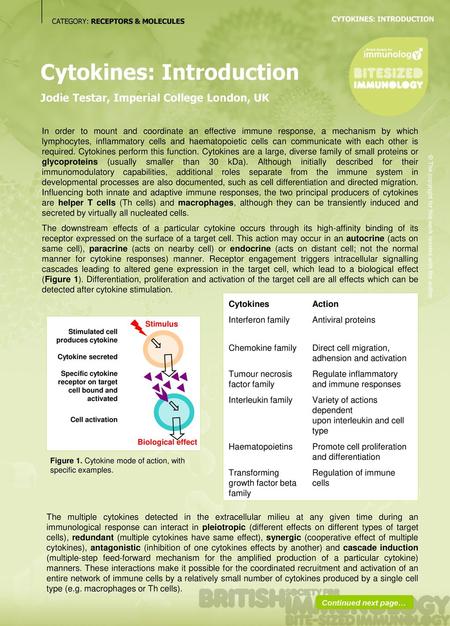 Cytokines: Introduction