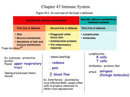 Figure 43.1 An overview of the body's defenses