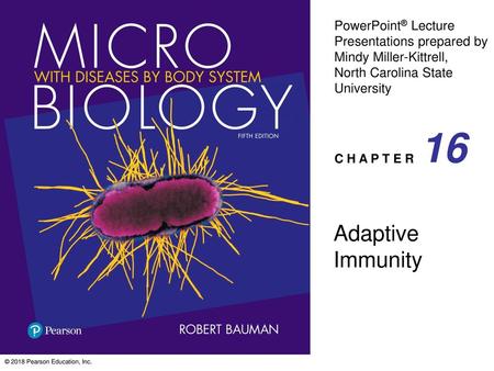 16 Adaptive Immunity.