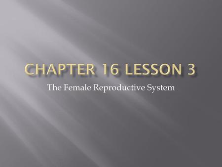 The Female Reproductive System