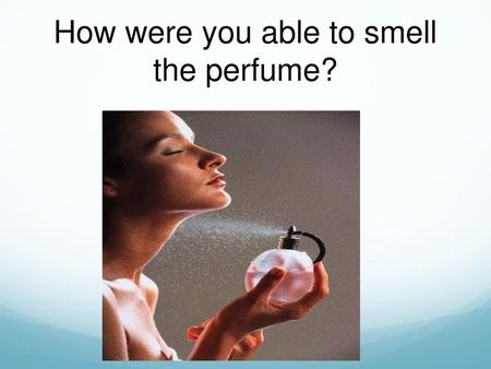 How were you able to smell the perfume?