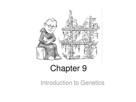 Introduction to Genetics