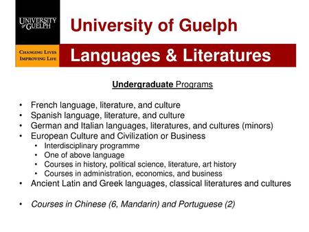 Undergraduate Programs