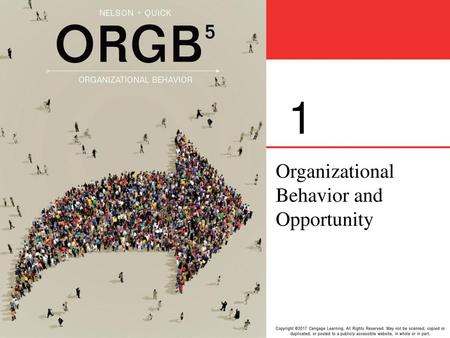 Chapter 1 Organizational Behavior and Opportunity