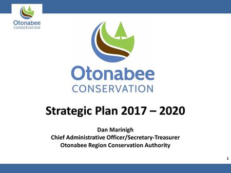 Strategic Plan 2017 – 2020 Dan Marinigh