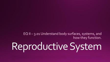 EQ II – 3.01 Understand body surfaces, systems, and how they function.