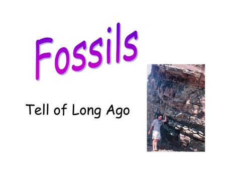 Fossils Tell of Long Ago http://www.opencourtresources.com.