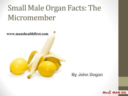 Small Male Organ Facts: The Micromember