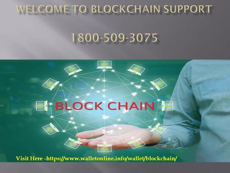 Blockchain Support Phone Number