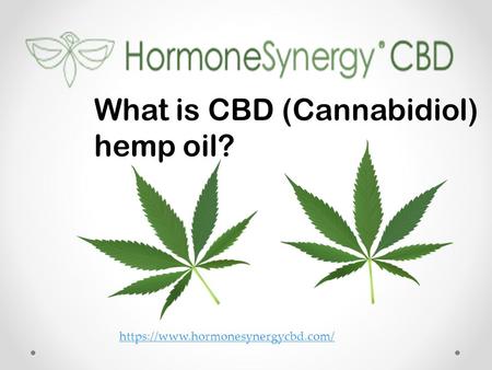 What is Hemp CBD? : Hormone Synergy CBD