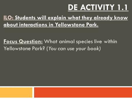 DE ACTIVITY 1.1 ILO: Students will explain what they already know about interactions in Yellowstone Park. Focus Question: What animal species live within.