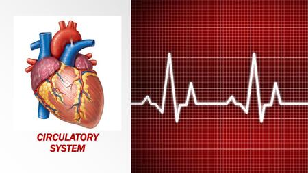 Circulatory System.