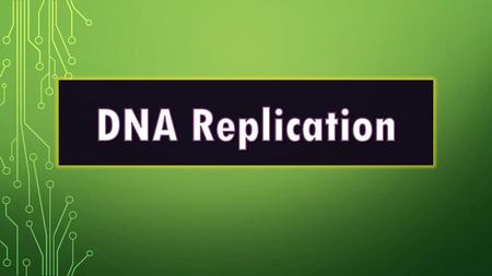 DNA Replication.