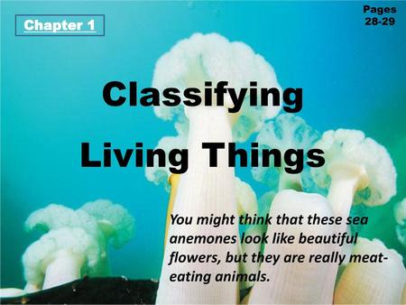 Classifying Living Things