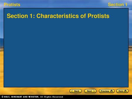 Section 1: Characteristics of Protists