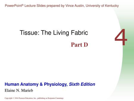 Tissue: The Living Fabric Part D