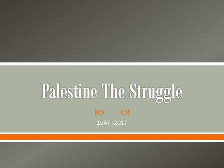 Palestine The Struggle