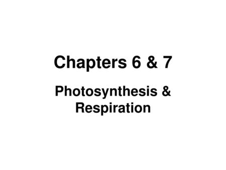 Photosynthesis & Respiration