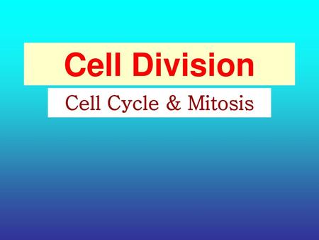 Cell Division Cell Cycle & Mitosis.