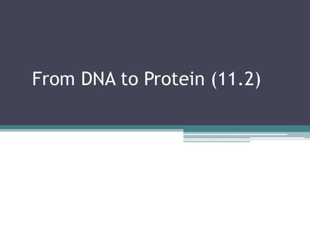 From DNA to Protein (11.2).