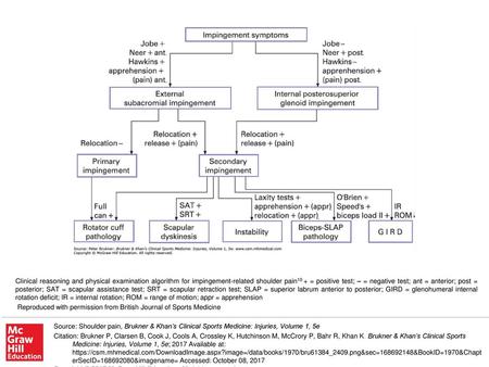 Reproduced with permission from British Journal of Sports Medicine