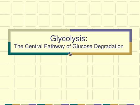 Glycolysis: The Central Pathway of Glucose Degradation