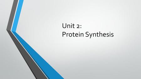 Unit 2: Protein Synthesis