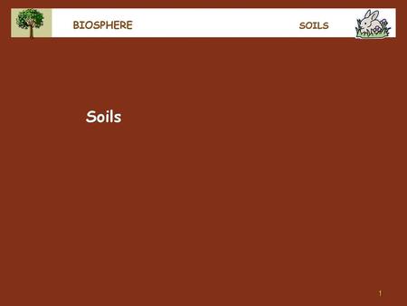 BIOSPHERE SOILS Soils.