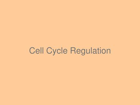 Cell Cycle Regulation.