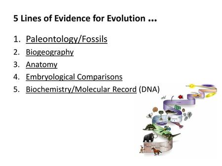 5 Lines of Evidence for Evolution …