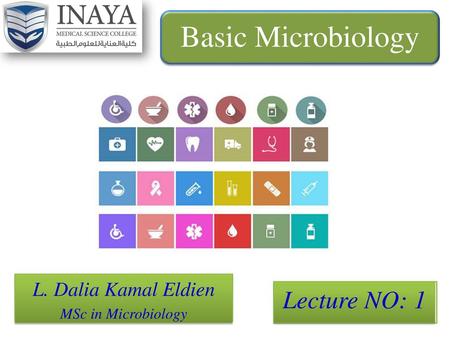 L. Dalia Kamal Eldien MSc in Microbiology