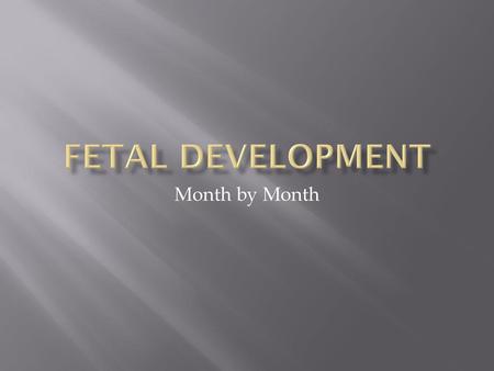 Fetal Development Month by Month.