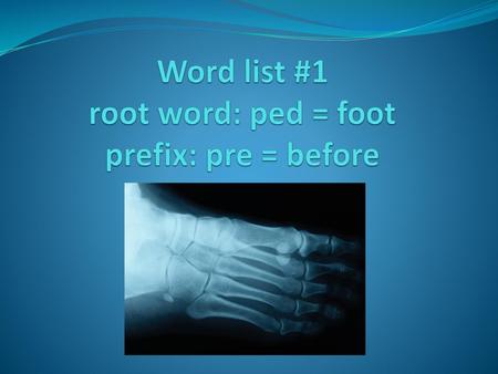 Word list #1 root word: ped = foot prefix: pre = before