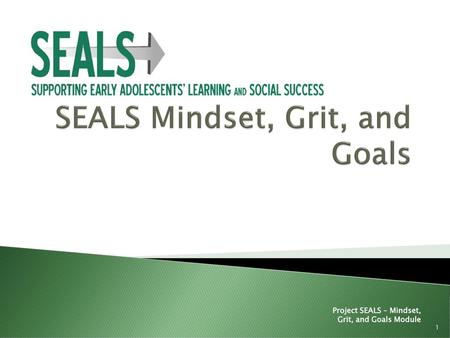 SEALS Mindset, Grit, and Goals