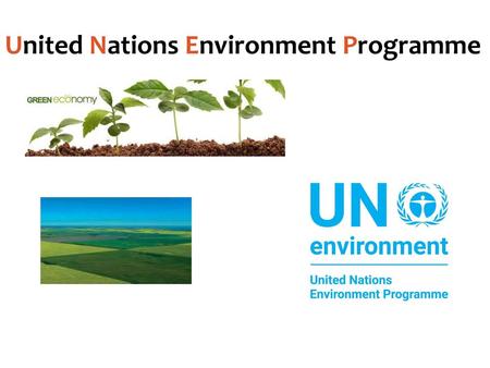 United Nations Environment Programme