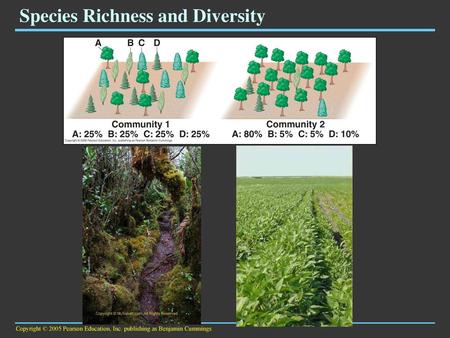 Species Richness and Diversity