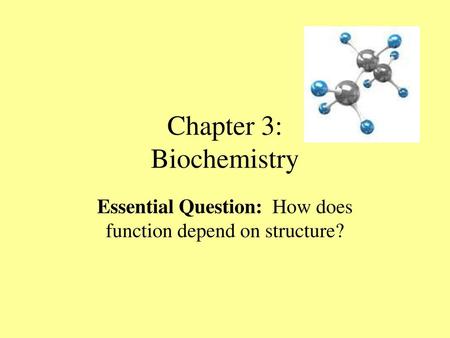 Chapter 3: Biochemistry