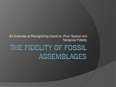 The Fidelity of Fossil Assemblages