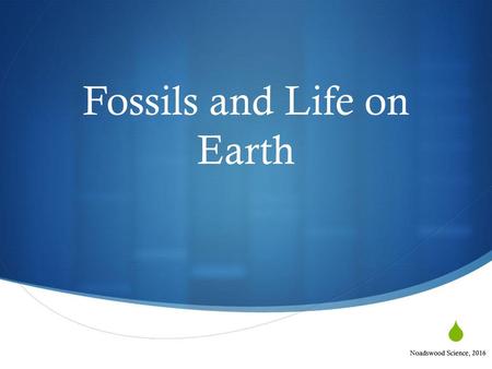 Fossils and Life on Earth