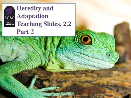 Heredity and Adaptation Teaching Slides, 2.2 Part 2