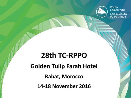 Golden Tulip Farah Hotel