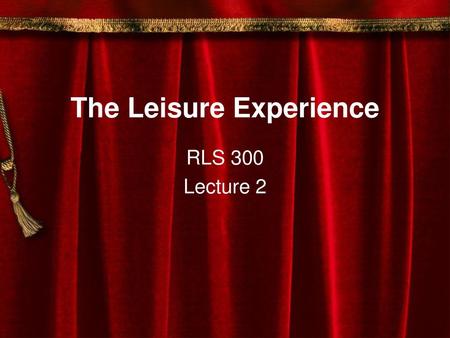 The Leisure Experience