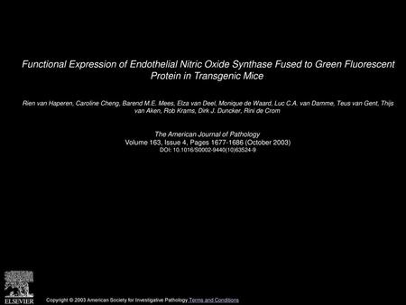 Functional Expression of Endothelial Nitric Oxide Synthase Fused to Green Fluorescent Protein in Transgenic Mice  Rien van Haperen, Caroline Cheng, Barend.