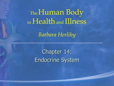 Chapter 14: Endocrine System