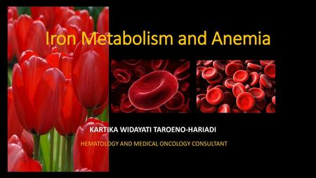 Iron Metabolism and Anemia