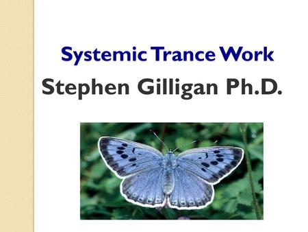 Systemic Trance Work Stephen Gilligan Ph.D..