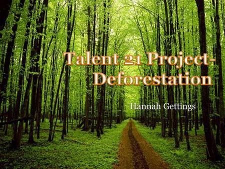 Talent 21 Project- Deforestation